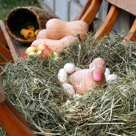 Doroga Dodomu Guest house