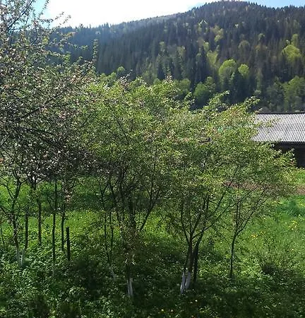 Doroga Dodomu 3* Mykulychyn