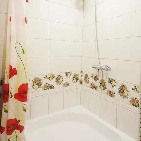 Doroga Dodomu Mykulychyn