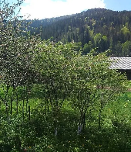 Doroga Dodomu 3* Mykulychyn