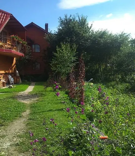 Doroga Dodomu 3* Mykulychyn